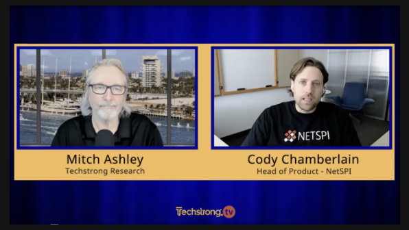 Techstrong.TV | NetSPI Vision Report